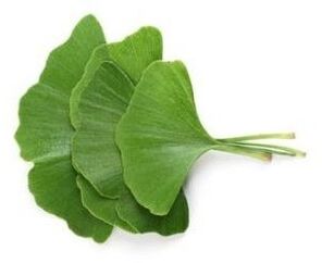Gingko Biloba sisältyy glukonoliin